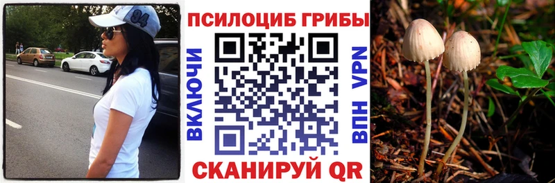 Псилоцибиновые грибы мицелий  Купить  Весьегонск 